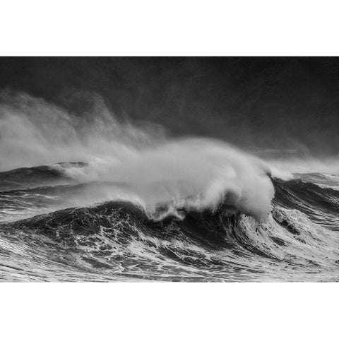 Wind Blowing Day Black Modern Wood Framed Art Print with Double Matting by Yamashita, Takafumi