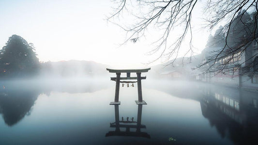 Image Only