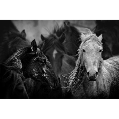 White Black Modern Wood Framed Art Print with Double Matting by Basa, Emine