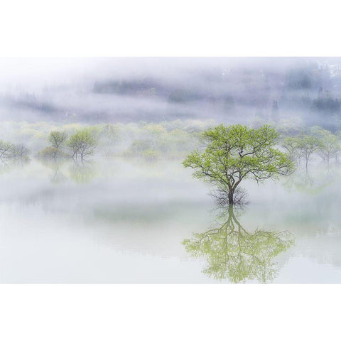 Dreamy Tree Black Modern Wood Framed Art Print by Saowanee, Suntararak