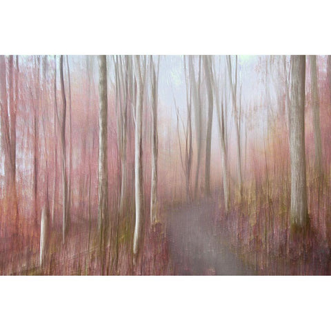 Soft Autumn Black Modern Wood Framed Art Print with Double Matting by Sillen, Christina