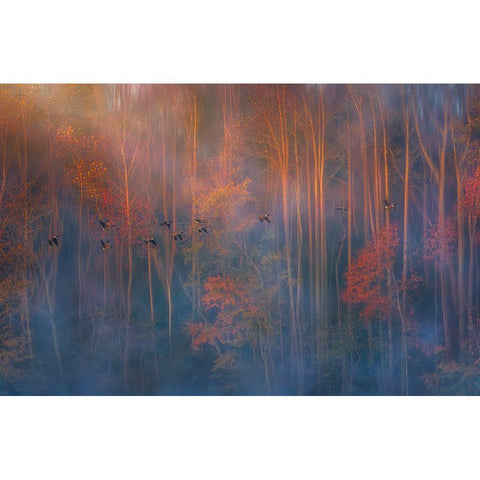 Misty Morning Black Modern Wood Framed Art Print by P., Ruiqing