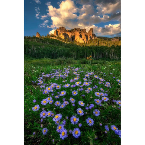 Canyon And Daisies Gold Ornate Wood Framed Art Print with Double Matting by Xu, Mei