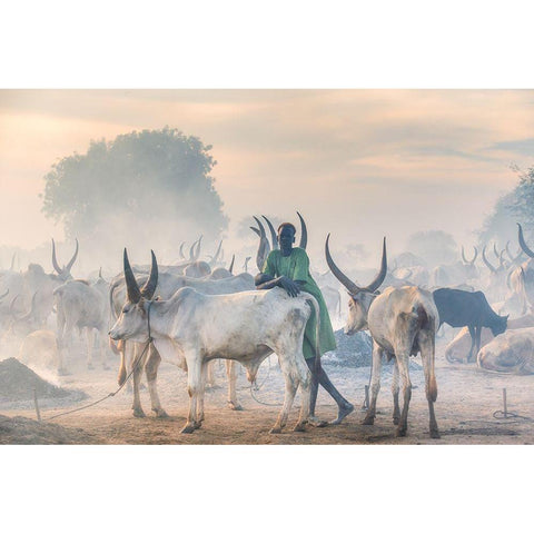 Dinka Herder White Modern Wood Framed Art Print by Cole, Trevor