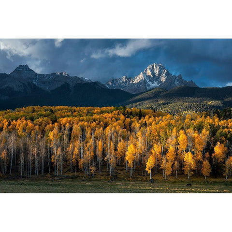 Mt Sneffels In Autumn White Modern Wood Framed Art Print by Xu, Mei