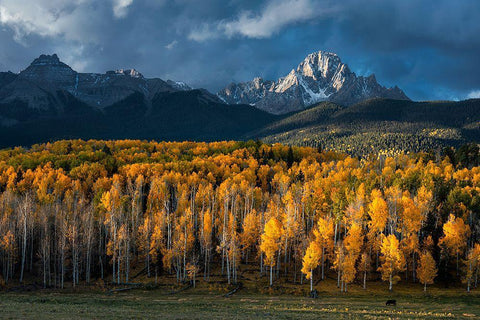 Mt Sneffels In Autumn Black Ornate Wood Framed Art Print with Double Matting by Xu, Mei