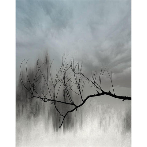 Redemption Black Modern Wood Framed Art Print by Claes, Gilbert
