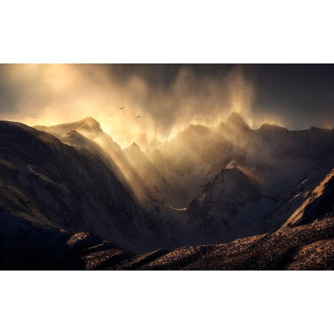 Polterzeitgeist Gold Ornate Wood Framed Art Print with Double Matting by Dyar, Ryan