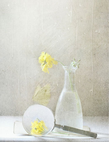 Qnatureq Is What We See Black Ornate Wood Framed Art Print with Double Matting by Devos, Delphine