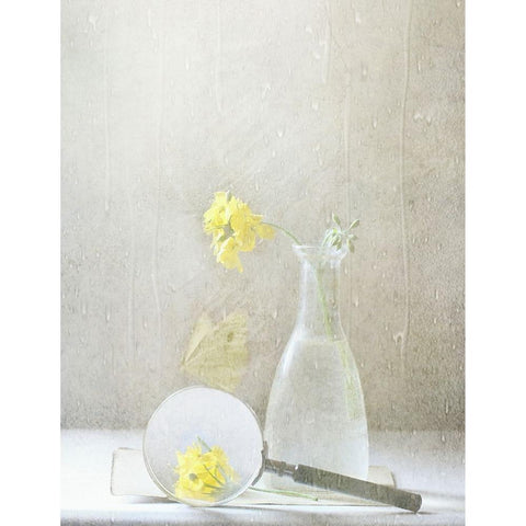 Qnatureq Is What We See White Modern Wood Framed Art Print by Devos, Delphine