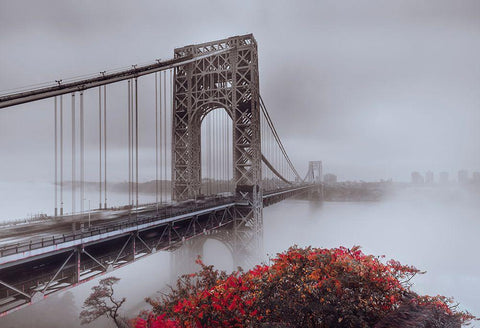 Gwb In Autumn White Modern Wood Framed Art Print with Double Matting by Dai, Wei