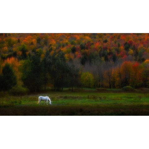 Autumn Glory White Modern Wood Framed Art Print by P., Ruiqing