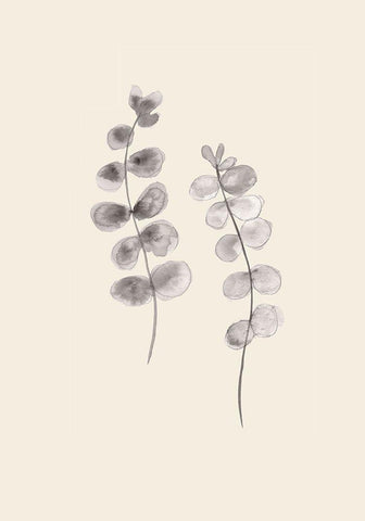 Eucalyptus Twigs White Modern Wood Framed Art Print with Double Matting by 1x Studio