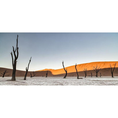 Namibian Desert Black Modern Wood Framed Art Print by Ruoppolo, Luigi