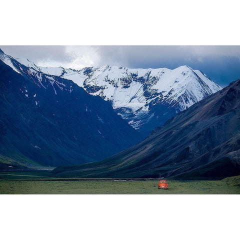 Appa?Â Gold Ornate Wood Framed Art Print with Double Matting by Zhang, Robert