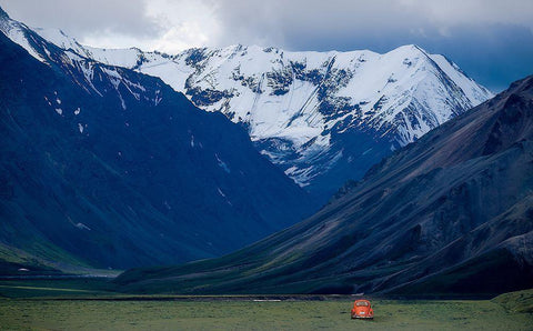 Appa?Â Black Ornate Wood Framed Art Print with Double Matting by Zhang, Robert