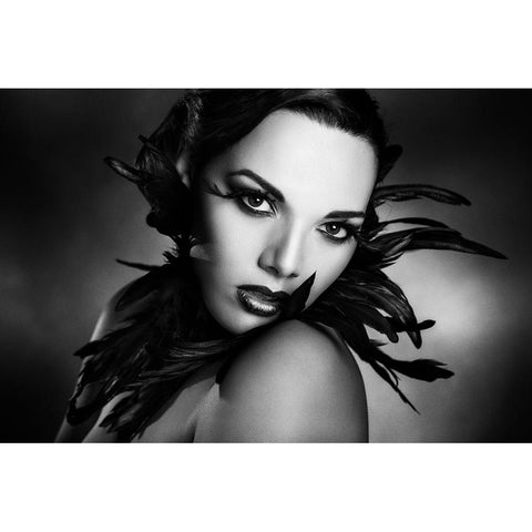 The Black Feathers White Modern Wood Framed Art Print by Tambe, Peppe