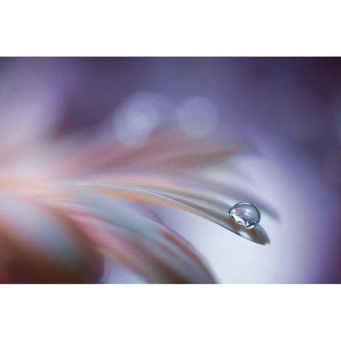 Sound Of Soul Gold Ornate Wood Framed Art Print with Double Matting by Barbieri, Rina