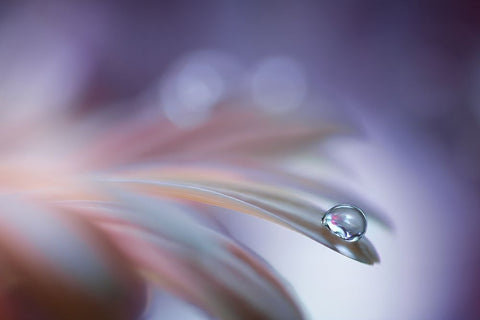 Sound Of Soul Black Ornate Wood Framed Art Print with Double Matting by Barbieri, Rina