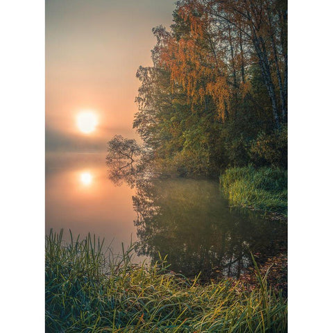 Foggy Fall Lake Gold Ornate Wood Framed Art Print with Double Matting by Lindsten, Christian