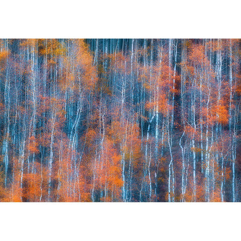 Autumn Abstract White Modern Wood Framed Art Print by Xu, Mei