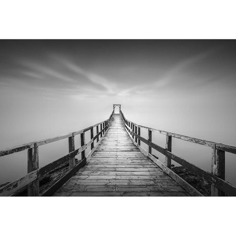 Untitled Black Modern Wood Framed Art Print by Luo, Jana