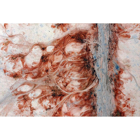 Dried And Frozen Lake Vrbje, Slovenia White Modern Wood Framed Art Print by Kravanja, Jure