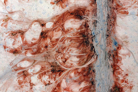 Dried And Frozen Lake Vrbje, Slovenia Black Ornate Wood Framed Art Print with Double Matting by Kravanja, Jure