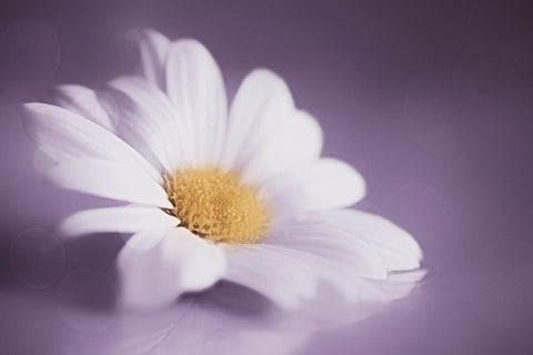 Soft Was The Light White Modern Wood Framed Art Print with Double Matting by Kiral, Cicek