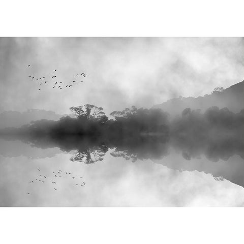 Misty Reflections White Modern Wood Framed Art Print by Hammer, Jacqueline