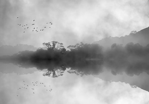 Misty Reflections Black Ornate Wood Framed Art Print with Double Matting by Hammer, Jacqueline