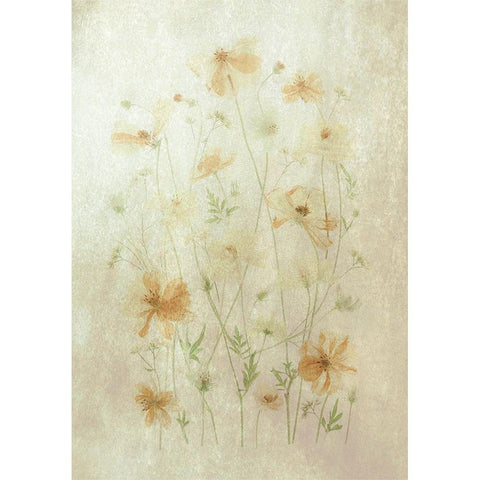 Yellow Cosmos White Modern Wood Framed Art Print by Zhou, Fangping