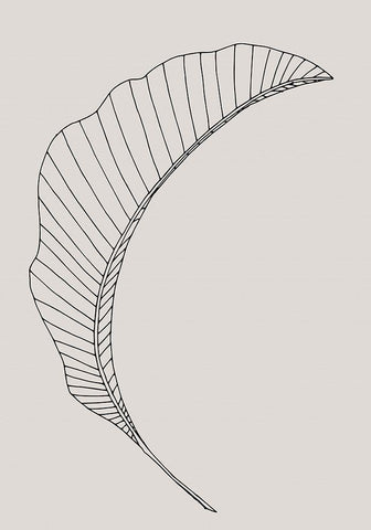 Banana Leaf Canvas White Modern Wood Framed Art Print with Double Matting by 1x Studio II