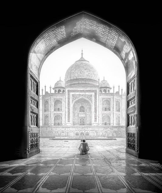 Image Only