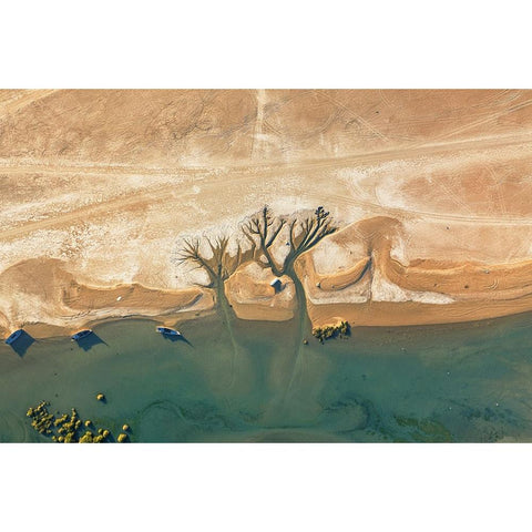 Trees Of Life Black Modern Wood Framed Art Print with Double Matting by AL Farsi, Haitham