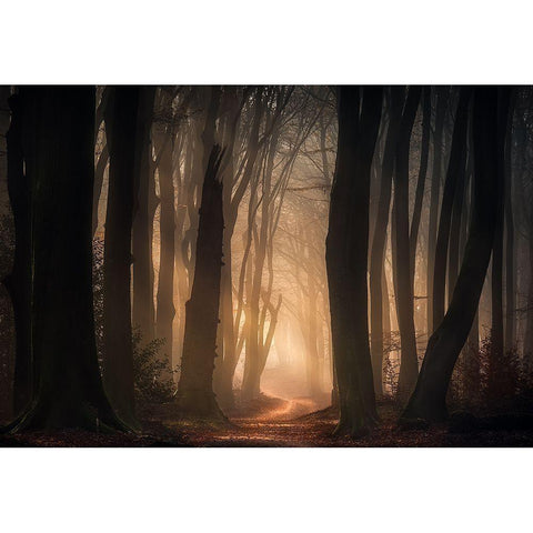 Phantasma White Modern Wood Framed Art Print by Lagerwerf, Jeroen