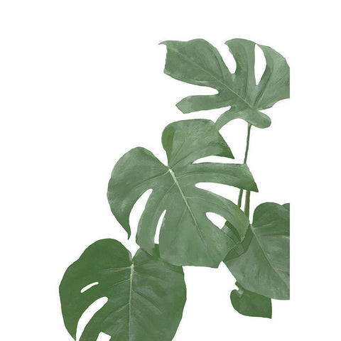 Monstera Aqua 03 White Modern Wood Framed Art Print by 1x Studio II