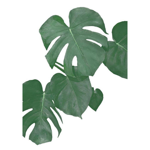 Monstera Aqua 01 Black Modern Wood Framed Art Print by 1x Studio II