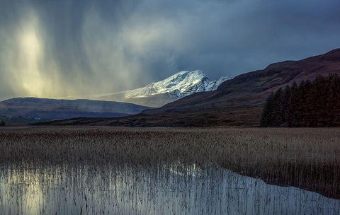 Chriosd Black Ornate Wood Framed Art Print with Double Matting by Darby, Rob