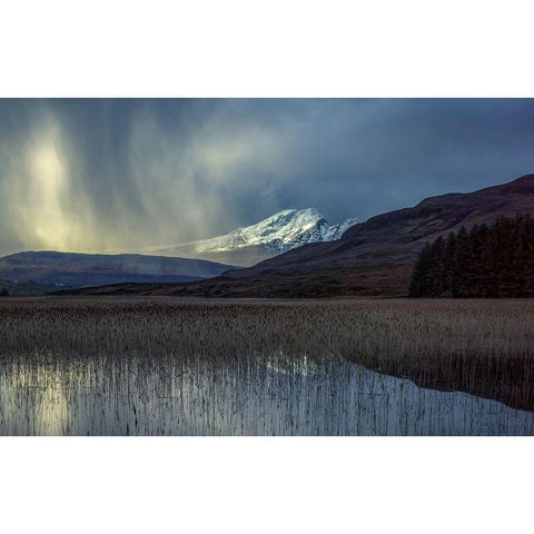 Chriosd Black Modern Wood Framed Art Print by Darby, Rob