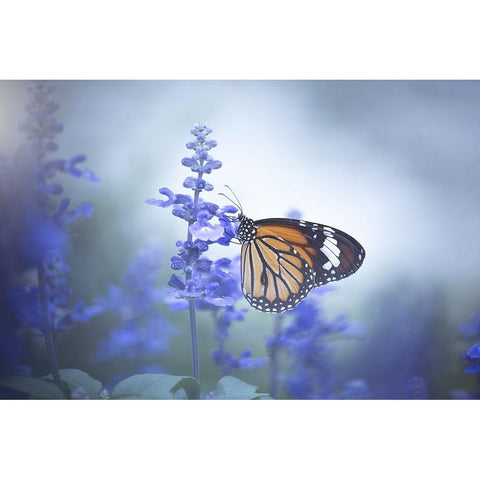 Butterfly Gold Ornate Wood Framed Art Print with Double Matting by Li, Wang