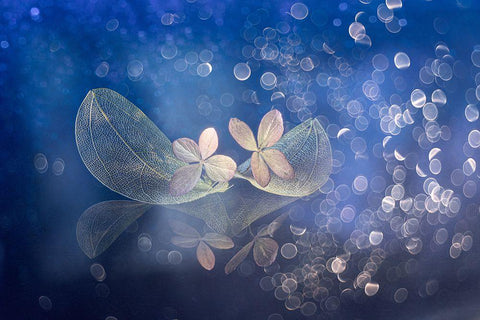 Fairytale Fantasy Black Ornate Wood Framed Art Print with Double Matting by Kopcev, Igor