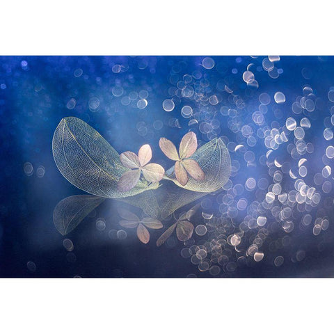 Fairytale Fantasy Black Modern Wood Framed Art Print by Kopcev, Igor