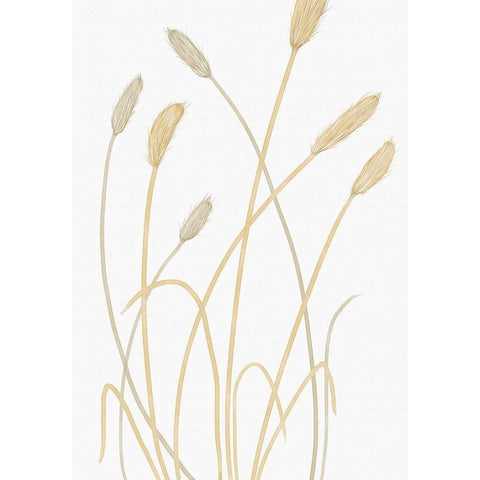 Bunny Grass 01 White Modern Wood Framed Art Print by 1x Studio II