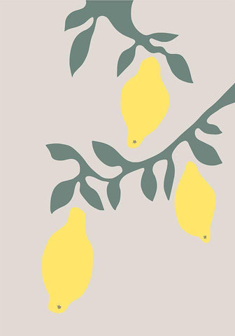 Lemons White Modern Wood Framed Art Print with Double Matting by 1x Studio II