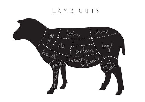 Lamb Cuts White Modern Wood Framed Art Print with Double Matting by 1x Studio II