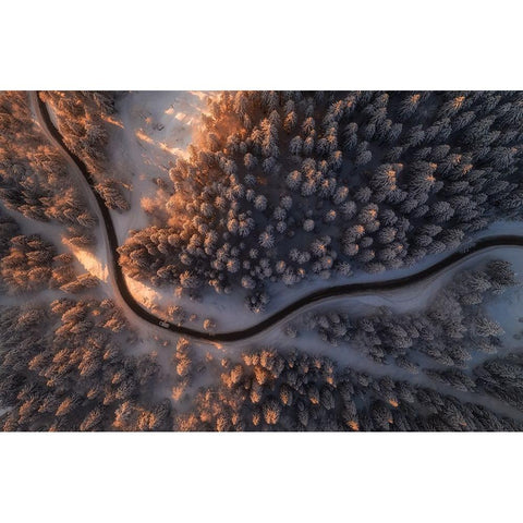 First Light Black Modern Wood Framed Art Print with Double Matting by Krivec, Ales