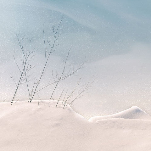 Fragile White Modern Wood Framed Art Print with Double Matting by van Bijnen, Jacqueline