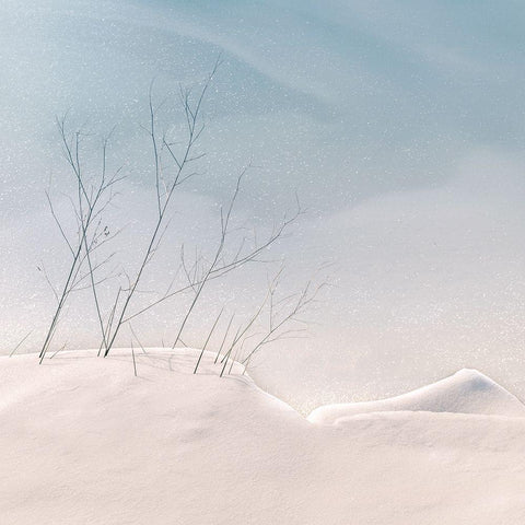 Fragile Black Modern Wood Framed Art Print with Double Matting by van Bijnen, Jacqueline