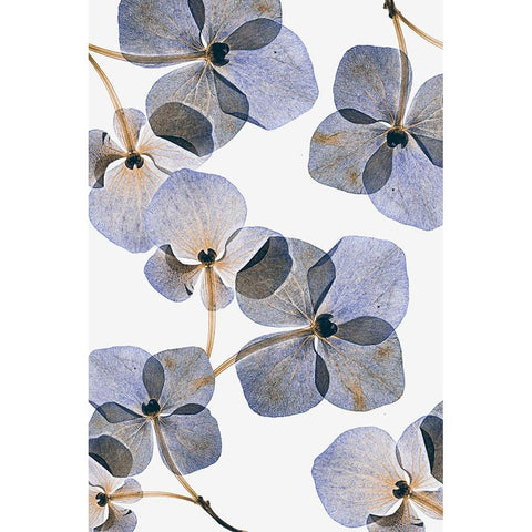 Botanical #37 White Modern Wood Framed Art Print by Lenka